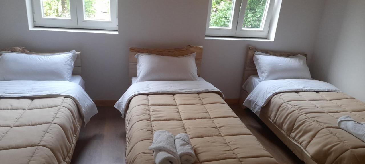Guesthouse Dritan Tethorja Theth Room photo